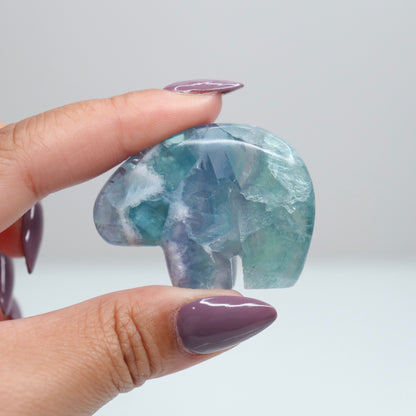 Durango Fluorite Mini Bear 5