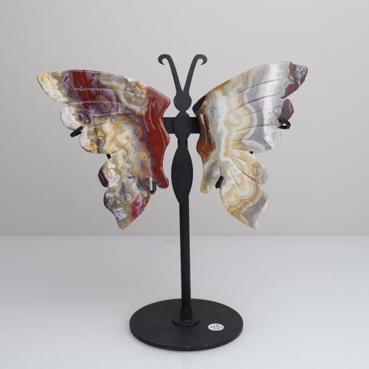 Mexican Lace Agate Butterfly | 1