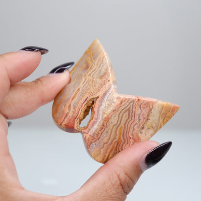 Crazy Lace Agate Butterfly | 6