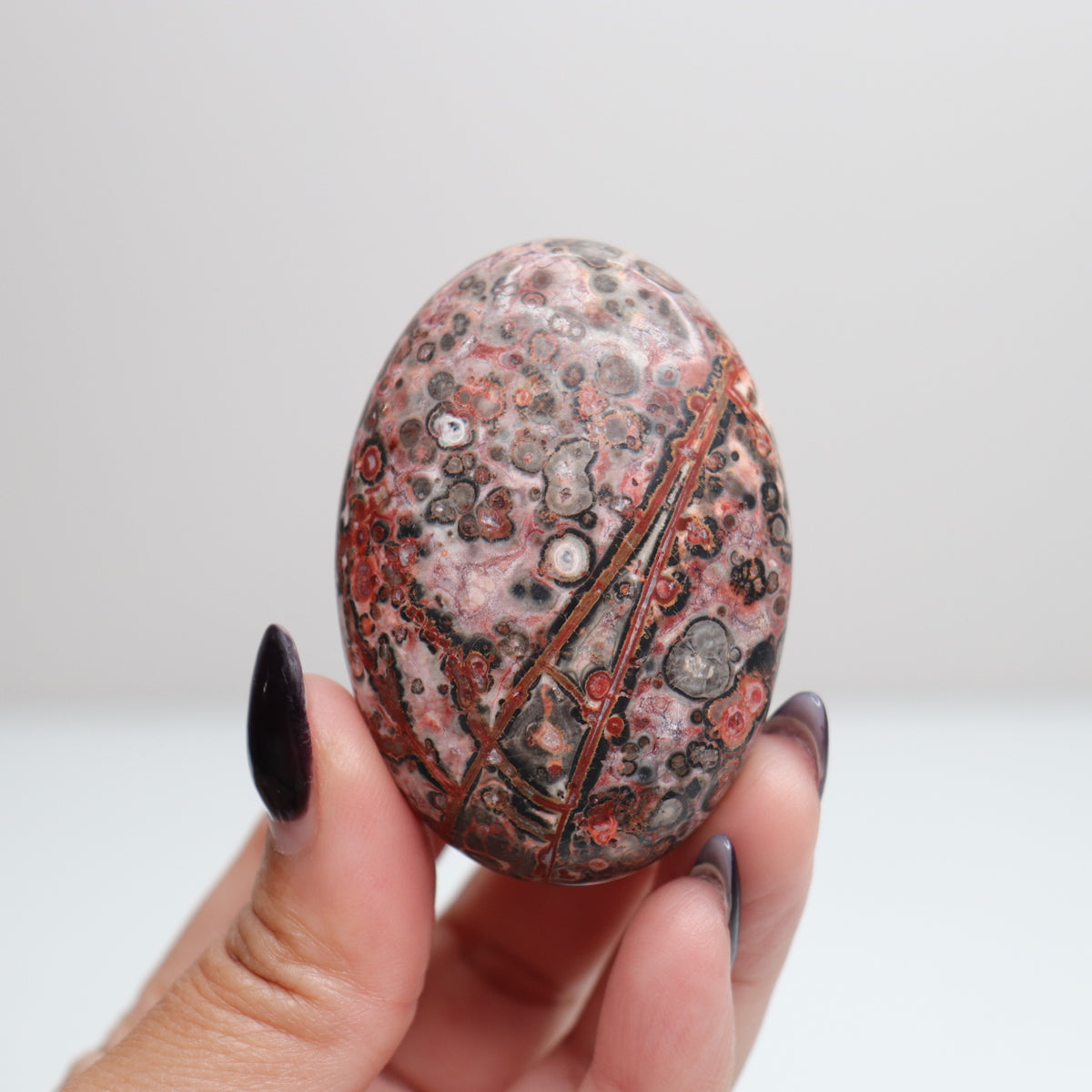 Leopard Skin Jasper Palm Stone | 28