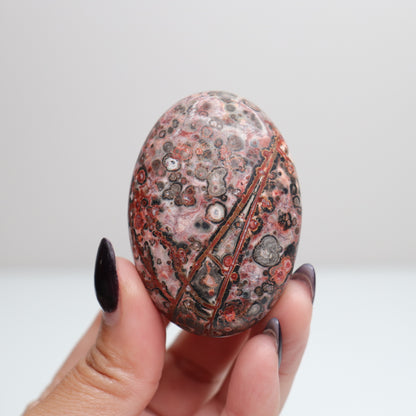 Leopard Skin Jasper Palm Stone | 28