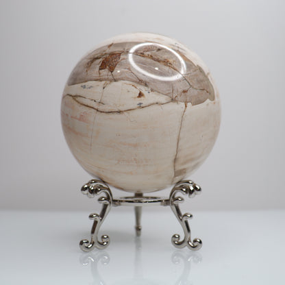 Petrified Wood Sphere | Large