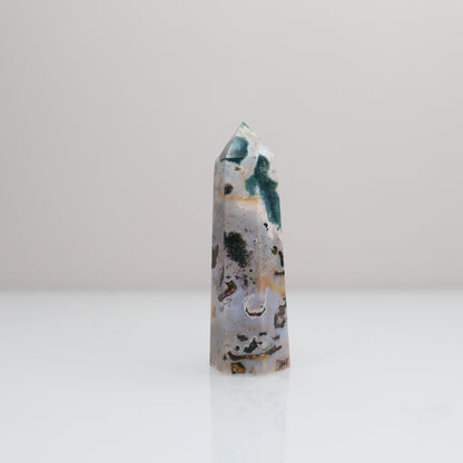 Ocean Jasper Tower | 75