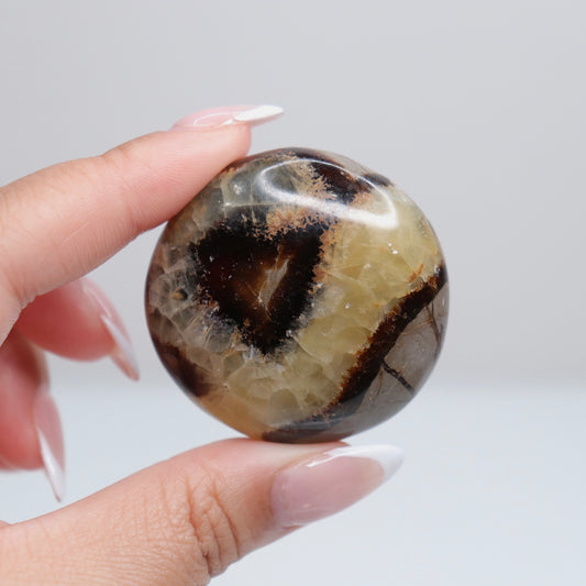 Septarian Palm Stone 76