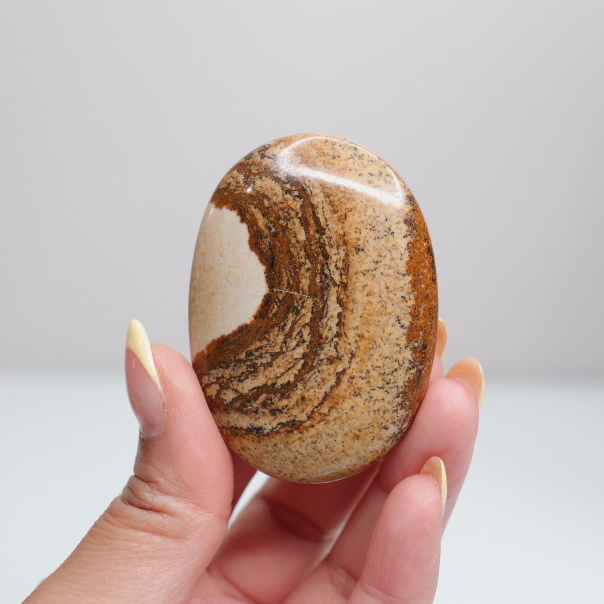 Picture Jasper Palm Stone 10