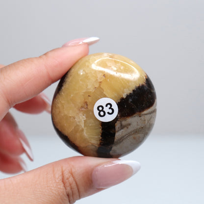 Septarian Palm Stone 83