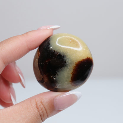 Septarian Palm Stone 72