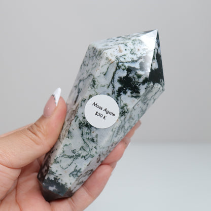 Tree Agate DT. | Large