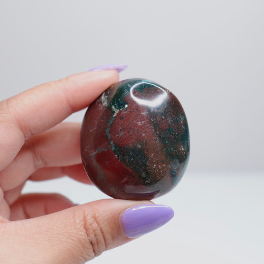 Ocean Jasper Palm Stone | 19