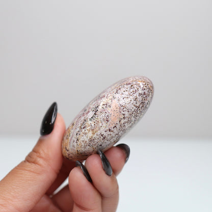 Unicorn Jasper Palm Stone 21
