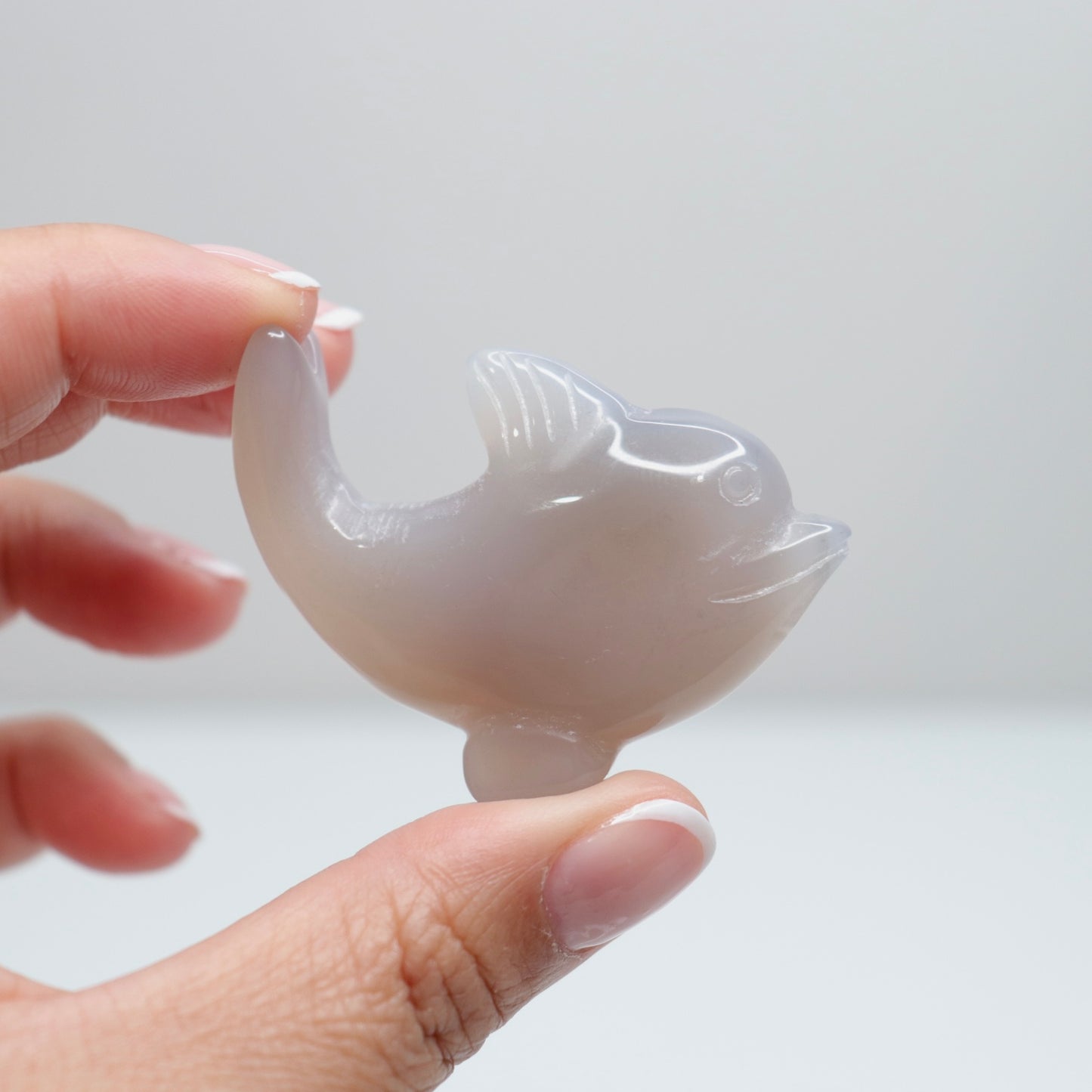 Agate Dolphin | 1