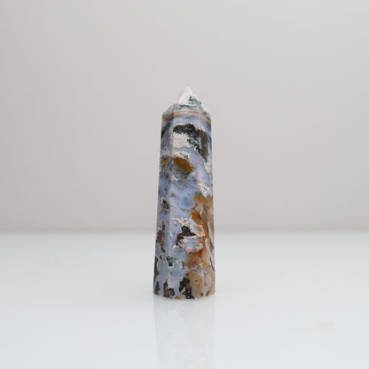 Ocean Jasper Tower | 76