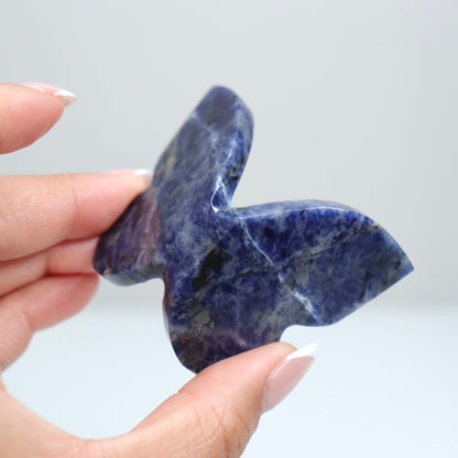 Sodalite Butterly D