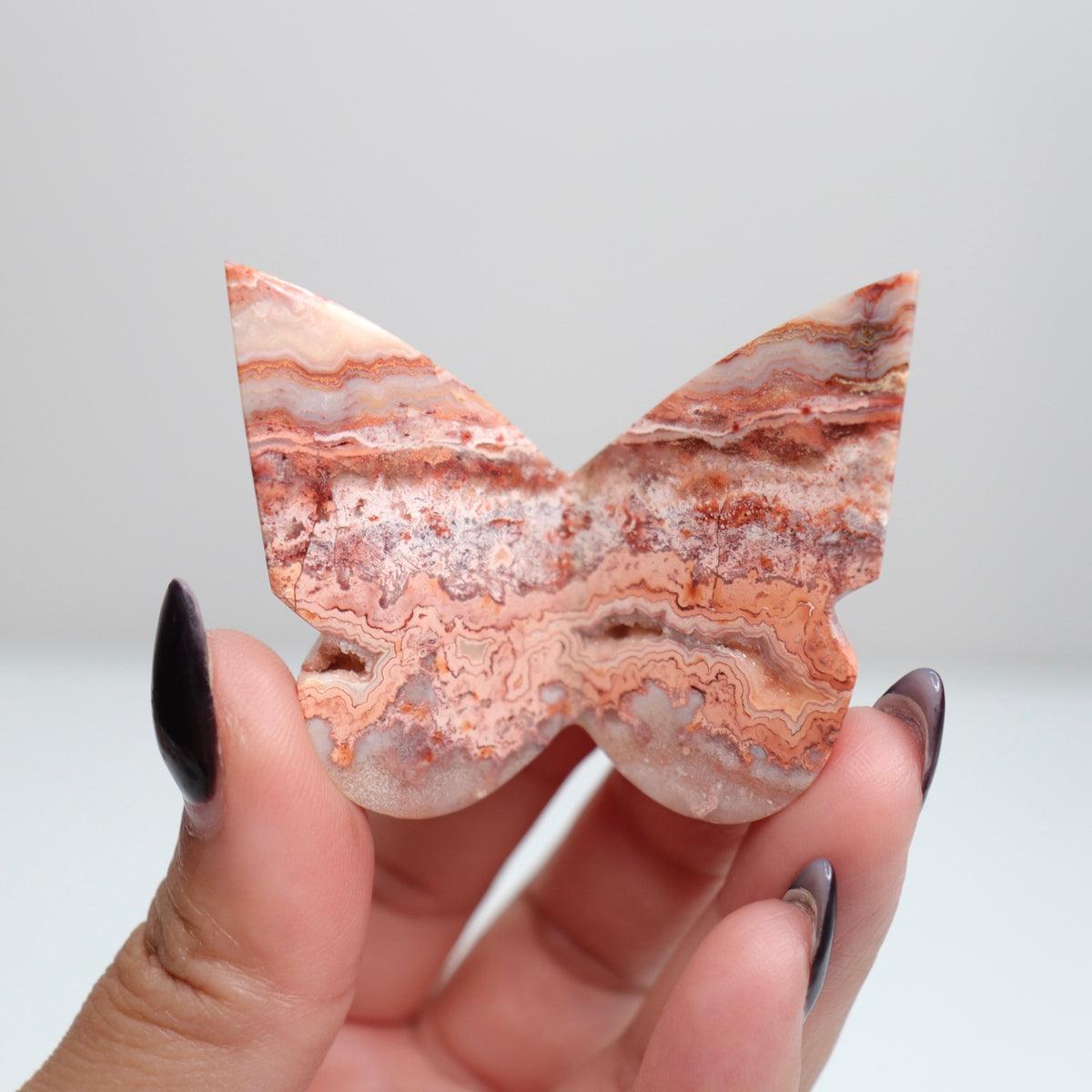 Crazy Lace Agate Butterfly | 24