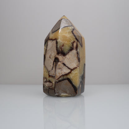 Septarian Tower | 1