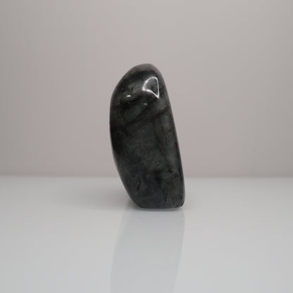 Labradorite Freeform | 8