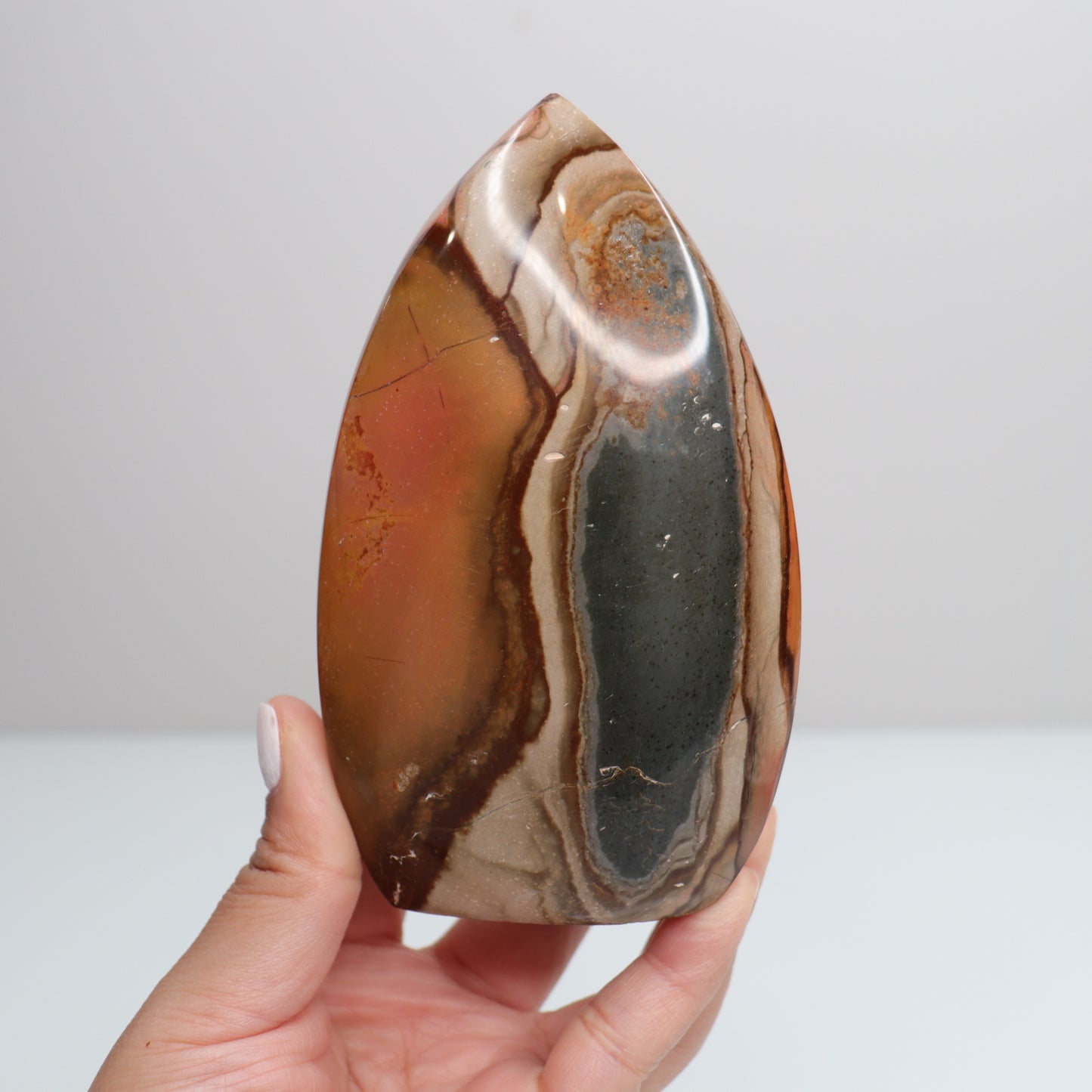 Polychrome Freeform 8