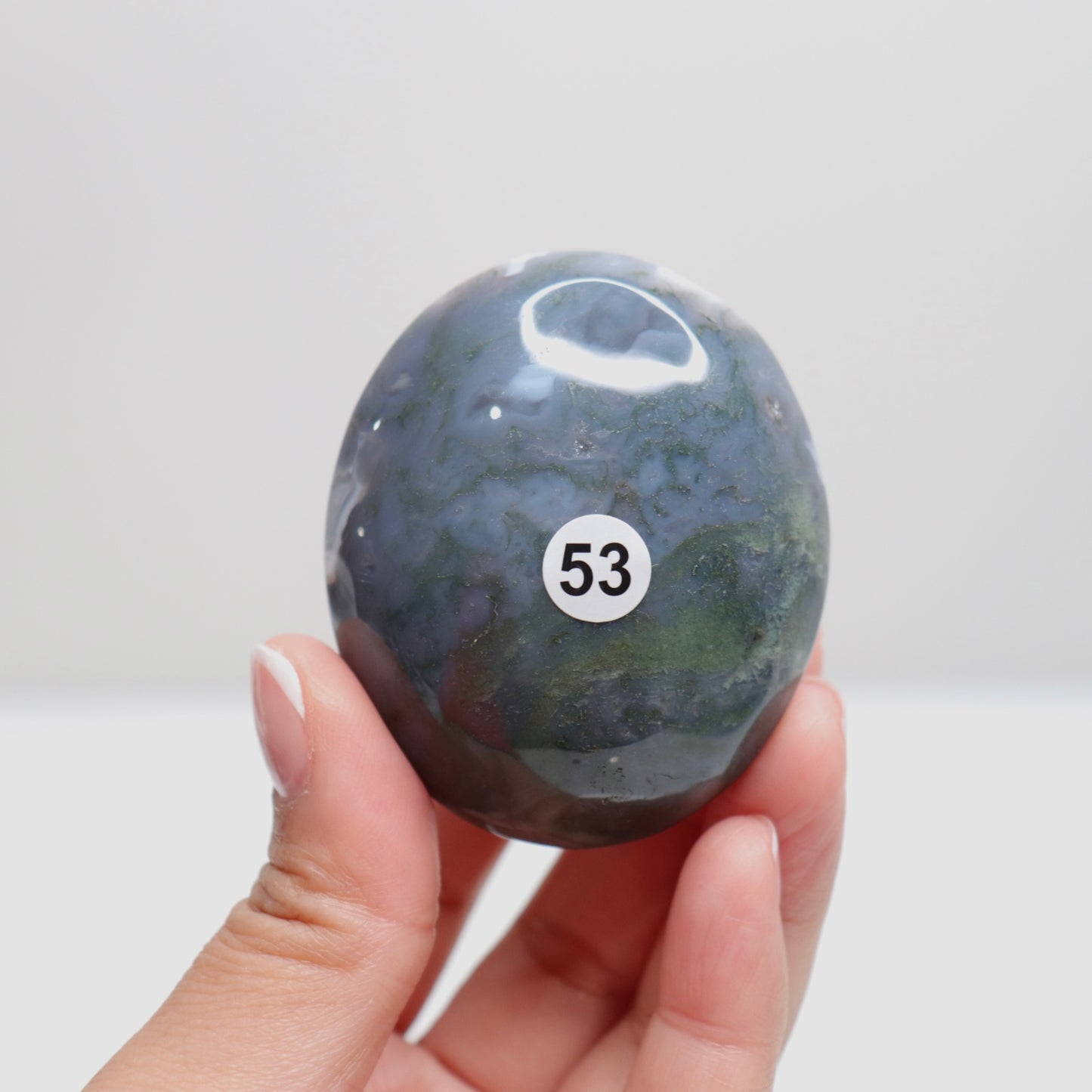 Moss Agate Palm Stone | 53
