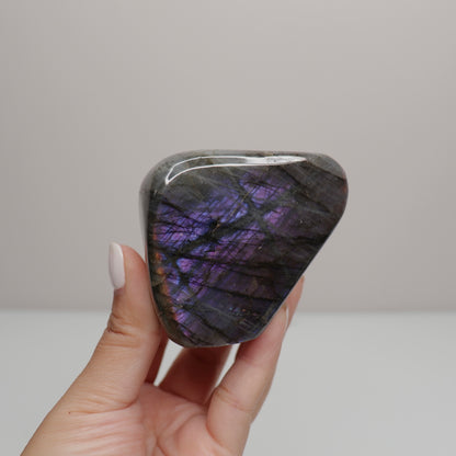 Purple Labradorite Freeform | 5