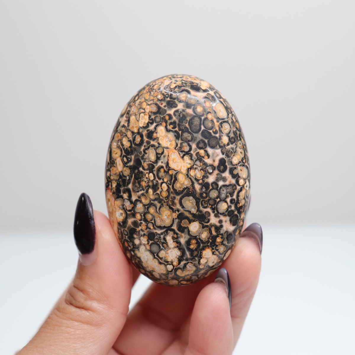 Leopard Skin Jasper Palm Stone | 24
