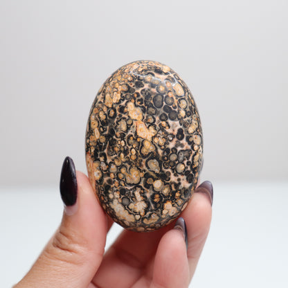 Leopard Skin Jasper Palm Stone | 24