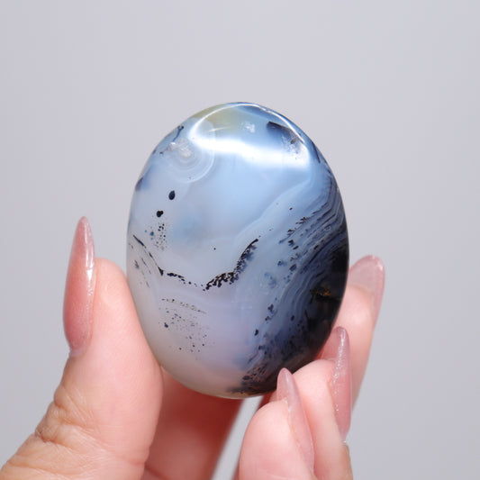 Dendritic Agate Palm Stone | 4