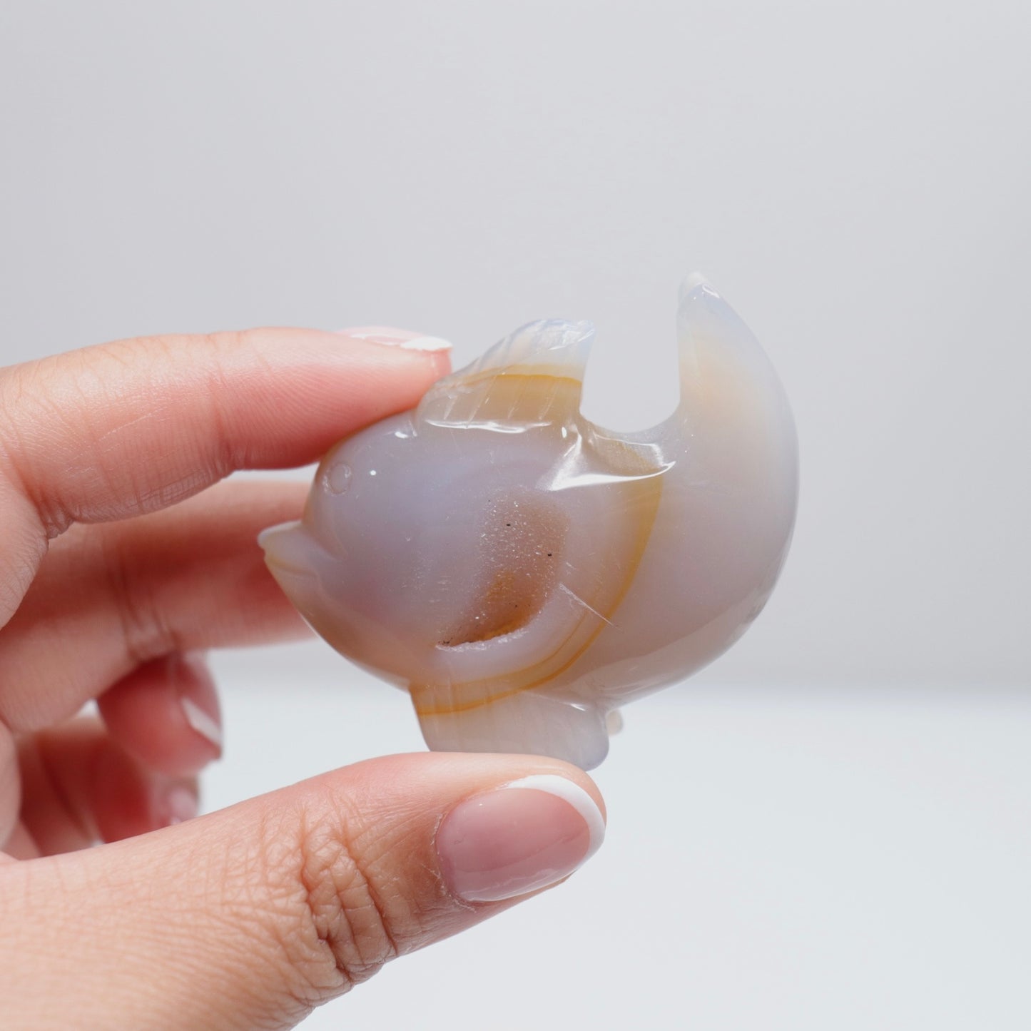 Agate Dolphin | 2