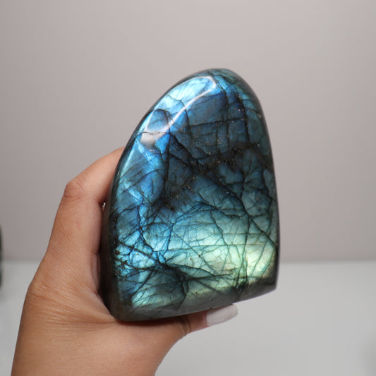 Labradorite Freeform | 6
