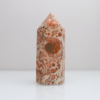 Leopardite Tower | 31