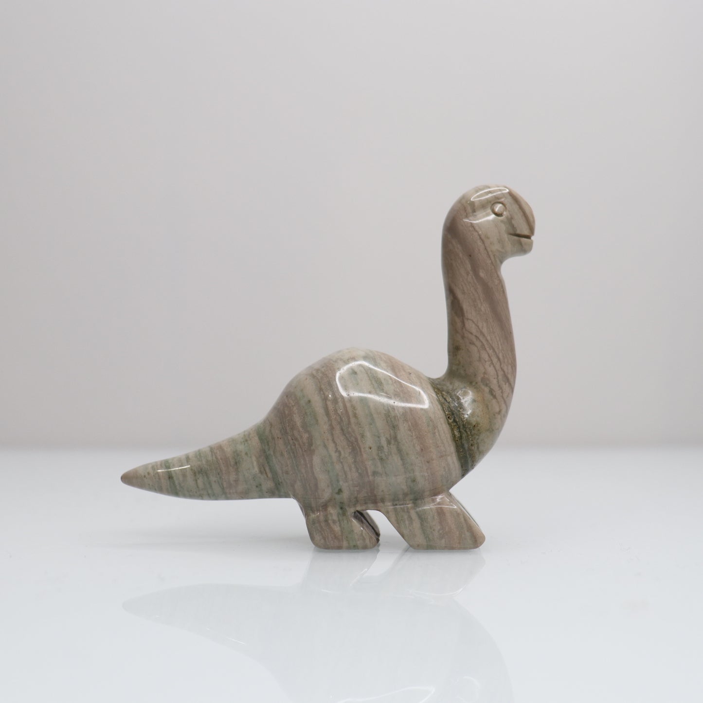 Polychrome Dinosaur | 1