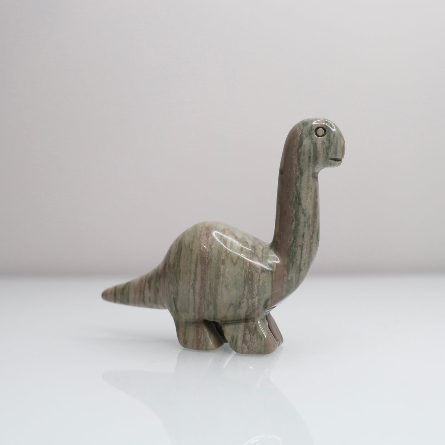 Polychrome Jasper Dinosaur C
