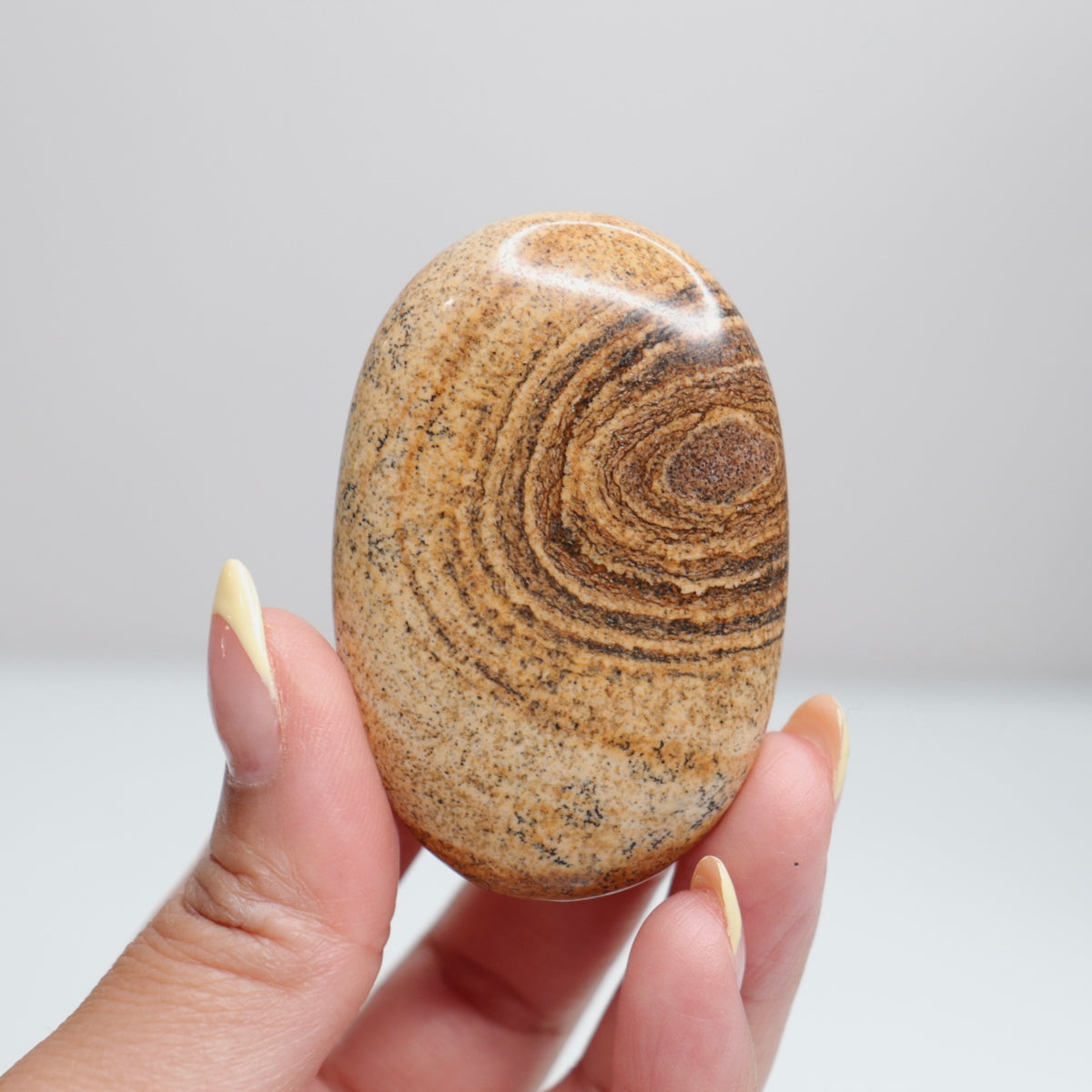 Picture Jasper Palm Stone 1