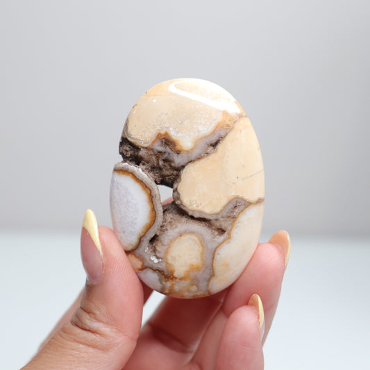 Cobra Jasper Palm Stone | 2 FREE