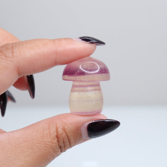 Fluorite Mushroom | 6