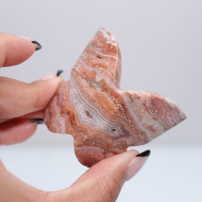 3D Pink Lace Agate Butterfly | K