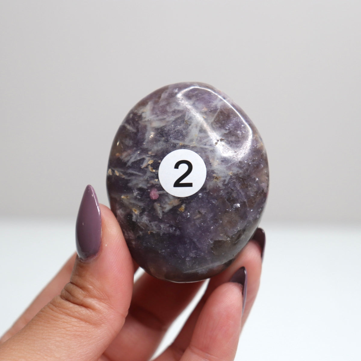 Unicorn Stone Palm Stone 2