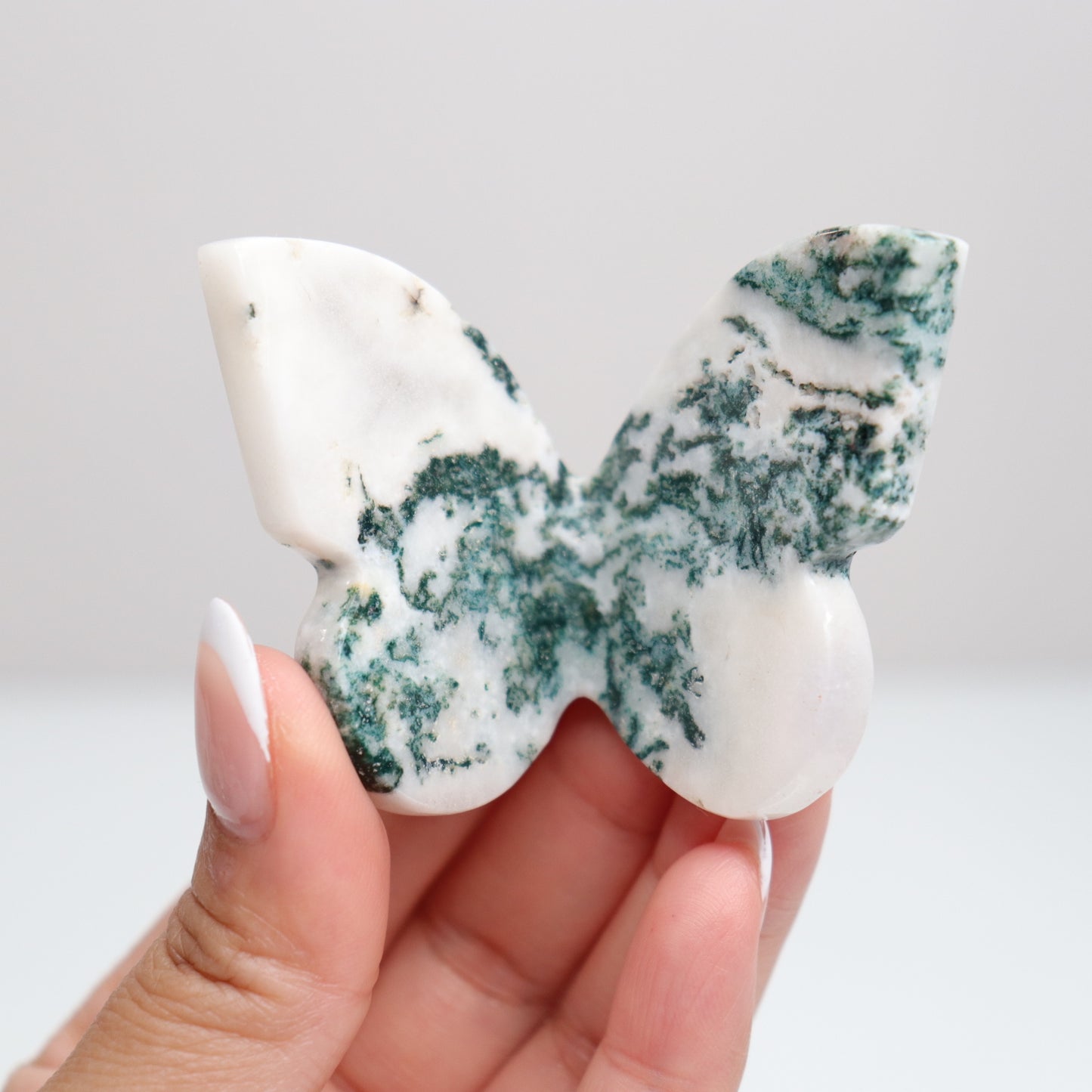 Tree Agate Butterfly E