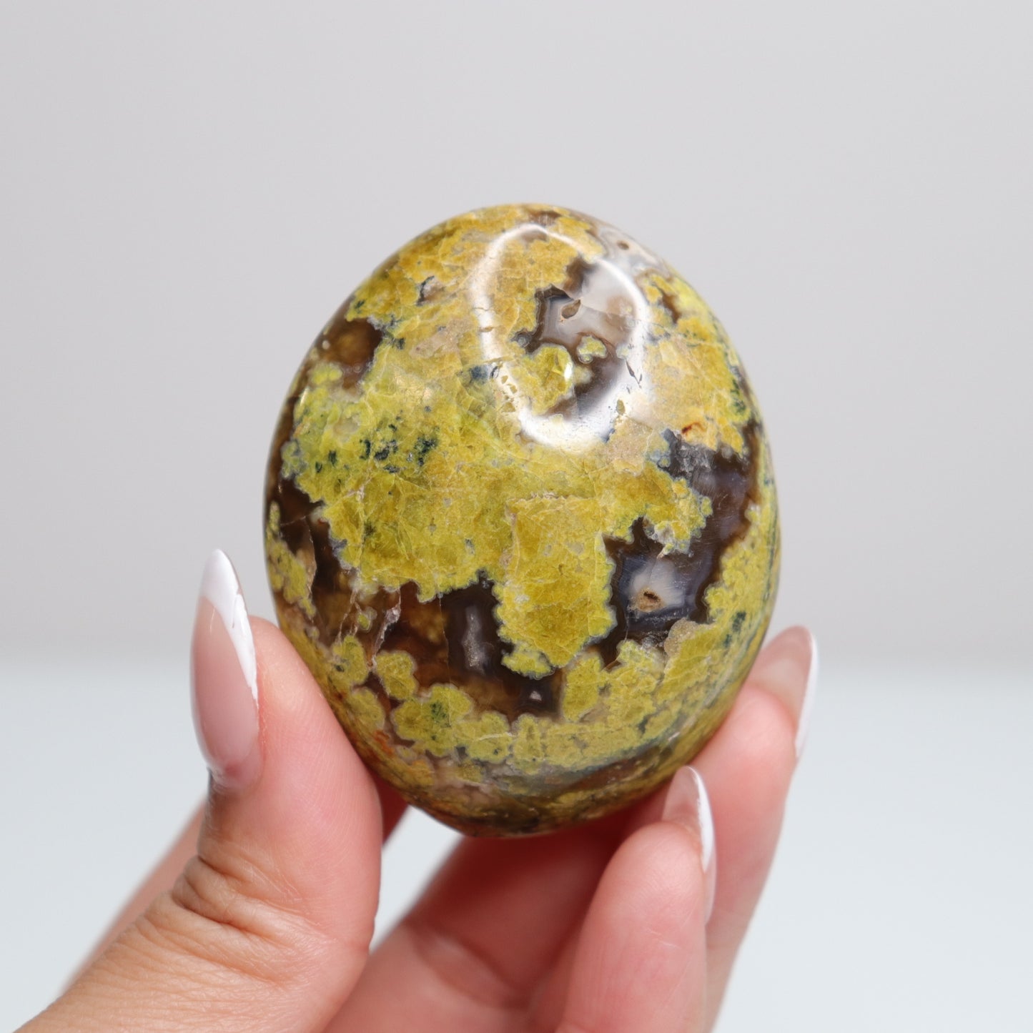 Green Opal Palm Stone 50