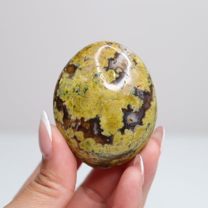 Green Opal Palm Stone 50