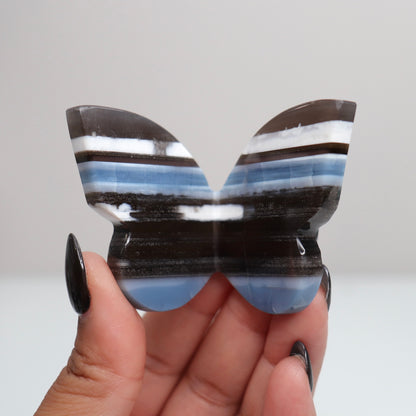 Blue Opal Butterfly 4