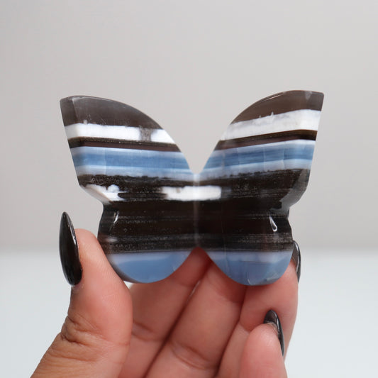 Blue Opal Butterfly 4
