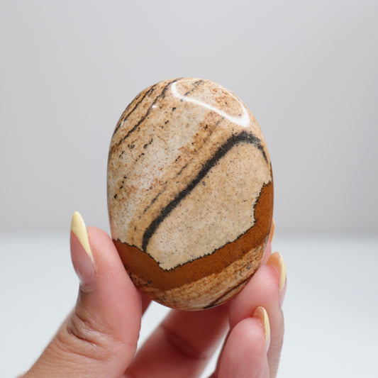 Picture Jasper Palm Stone 12