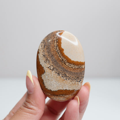 Picture Jasper Palm Stone 17