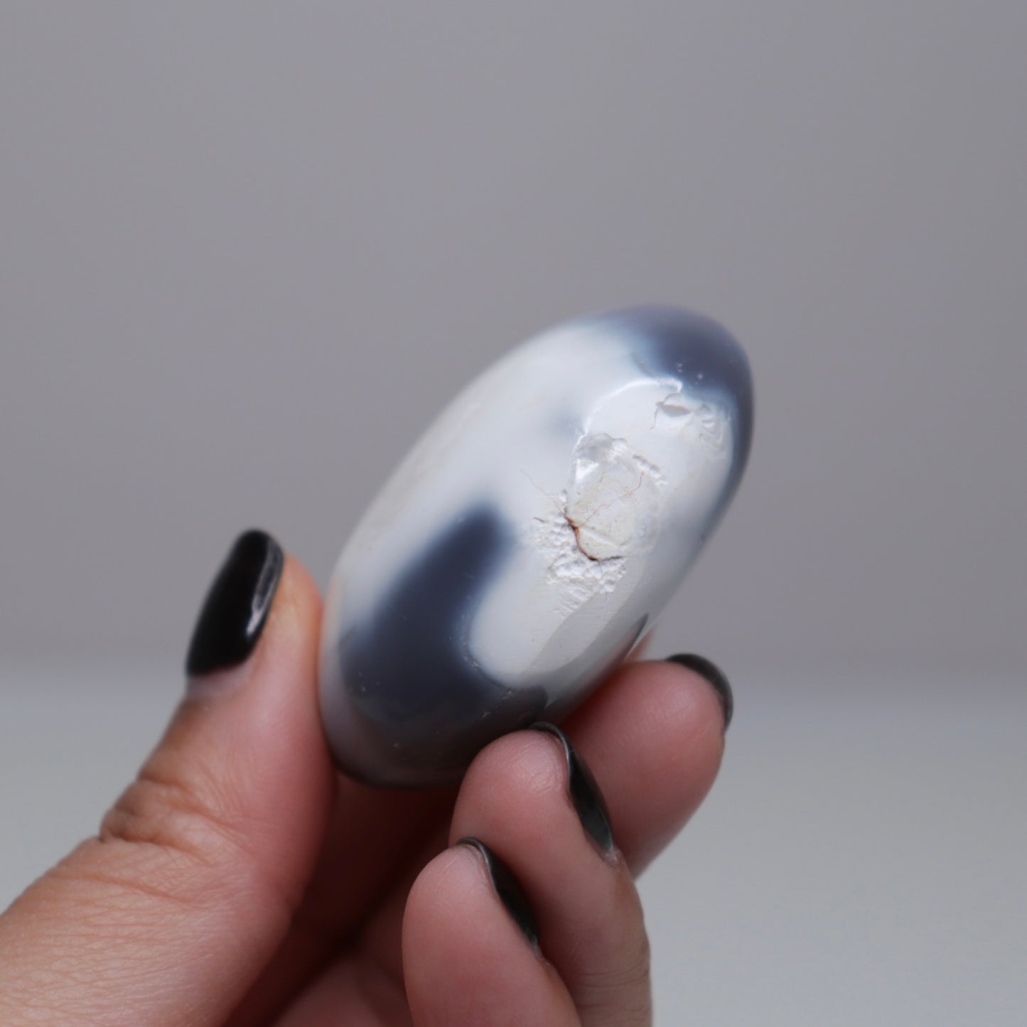Orca Agate Palm Stone | 4