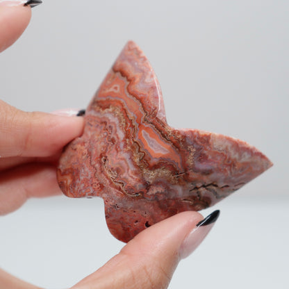 3D Pink Lace Agate Butterfly | N
