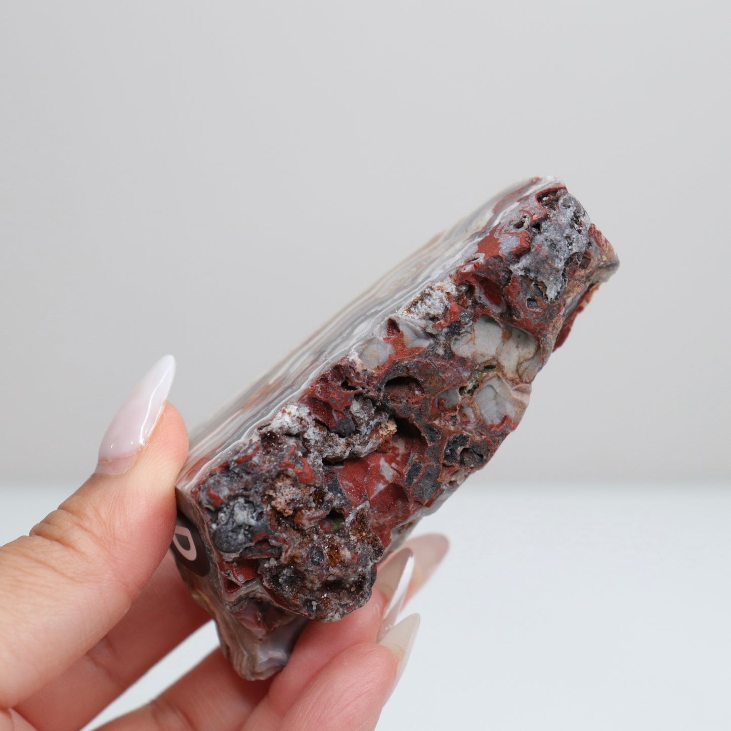 Laguna Lace Agate | D