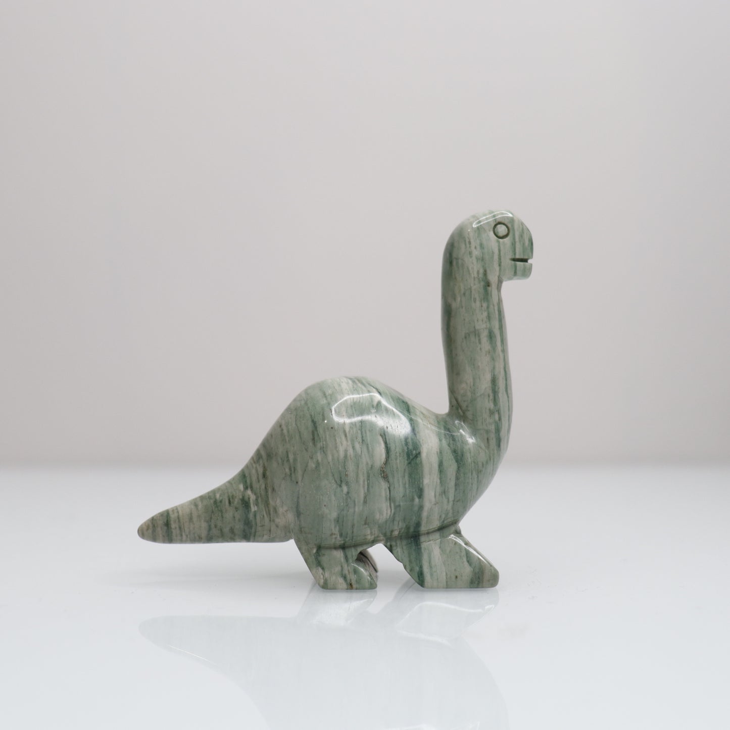 Polychrome Dinosaur | 4
