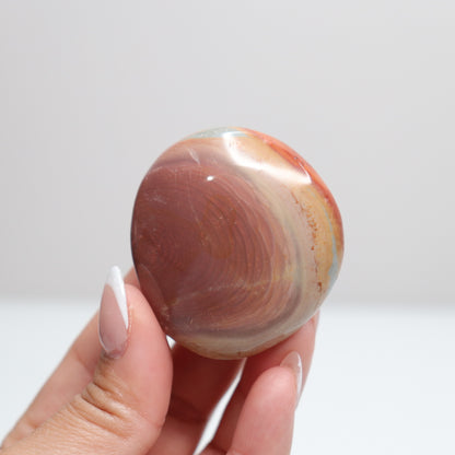 Polychrome Jasper Palm Stone | 8