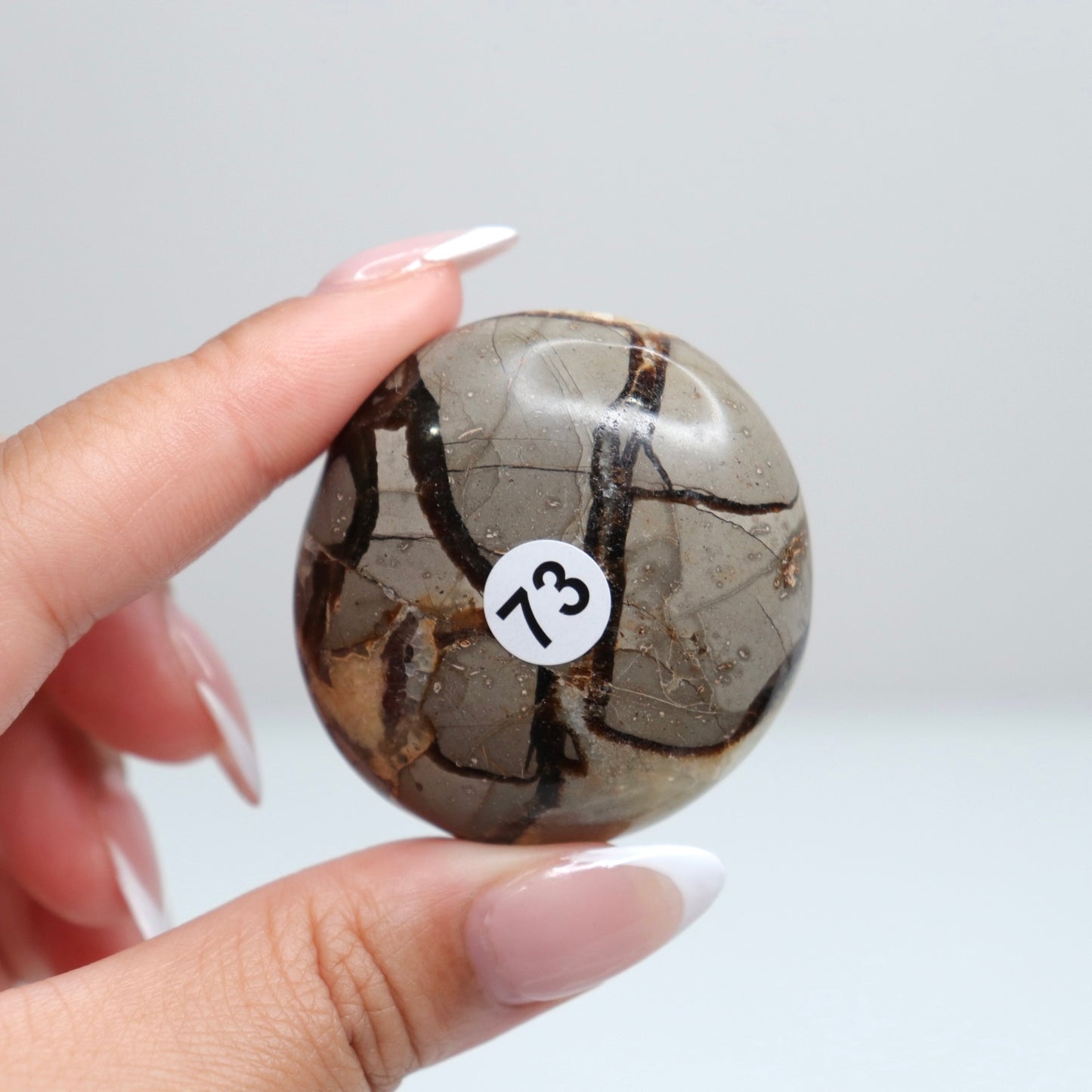 Septarian Palm Stone 73
