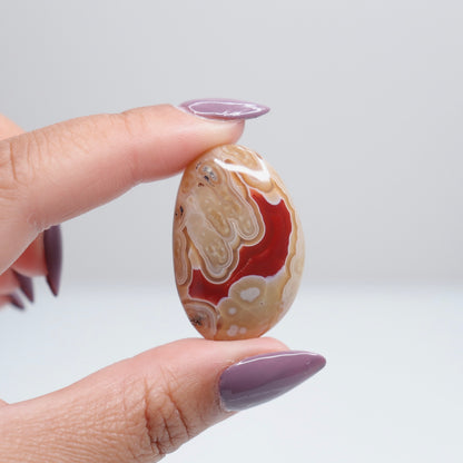Malawi Agate Palm 8